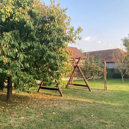 Tiszavirag Vendeghaz Apartment Tiszacsege Екстериор снимка